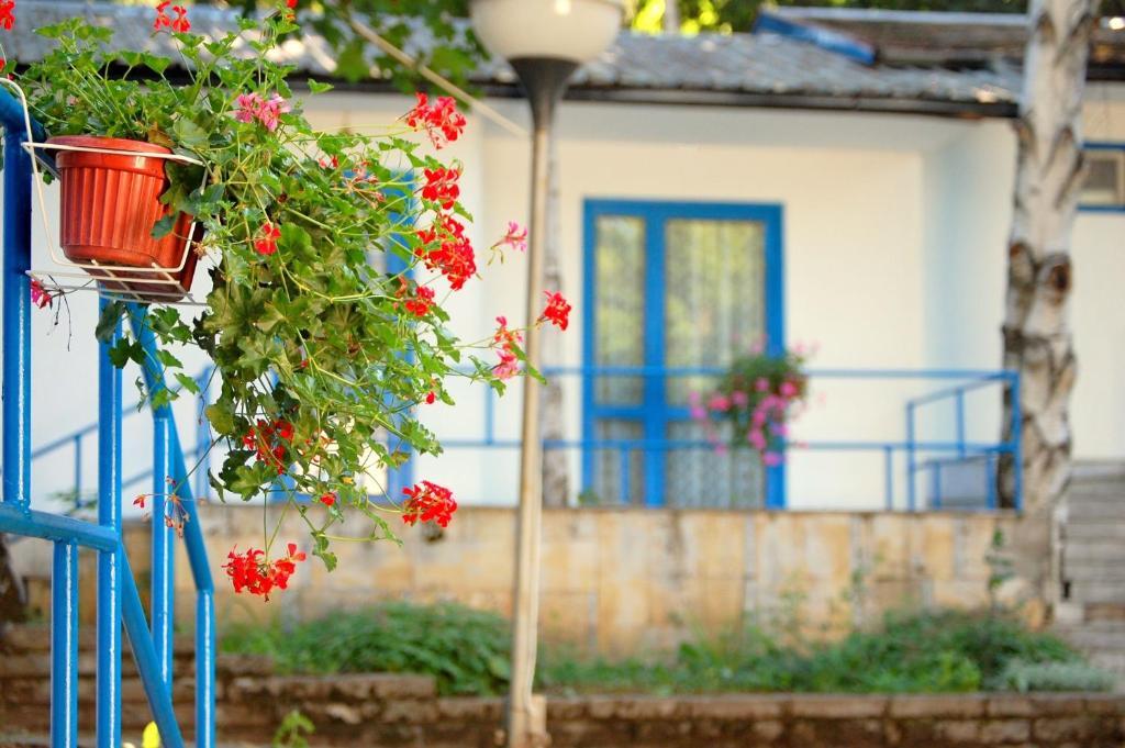 Pasarel White Village Park Iskar Lake المظهر الخارجي الصورة